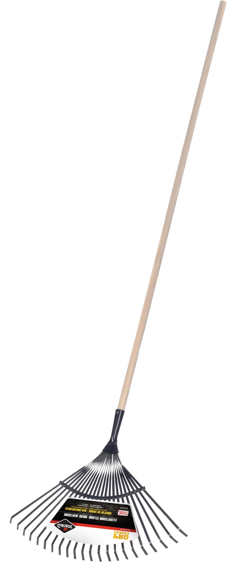 Lay Lay Rake Rake — Larry Electric
