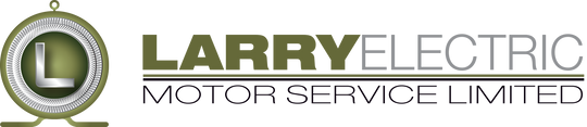 Larry_Electric_Logo_transparent_540x